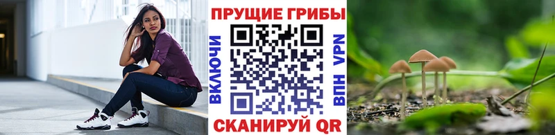 Галлюциногенные грибы Cubensis  Купить закладки  Калязин 